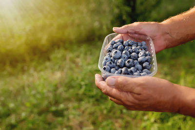 Cropped image of hand holding fruit on field