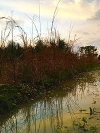 Scenic view of lake against sky
