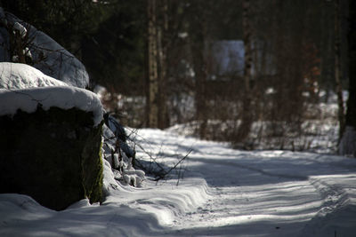 Close-up of snow covered land