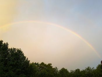 Rainbow over trees against sky