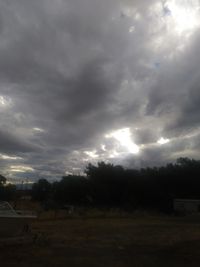 Trees on field against dramatic sky