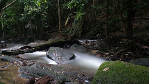 Stream flowing through rocks in forest