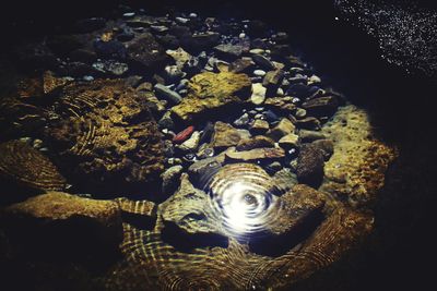 High angle view of illuminated lamp