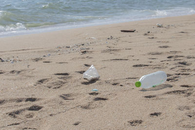 View of toy on beach