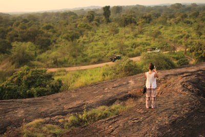 Rear view of woman photographing while standing on field in forest