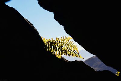 Low angle view of silhouette mountain against clear sky