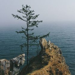 Rock formations in sea