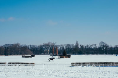 Winter scene of hippodrome. horseback riding in winter field