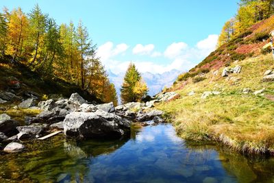 Scenic view of lake amidst trees against sky