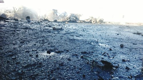 Surface level of rocks