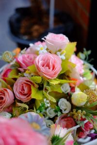 Close-up of pink roses