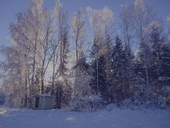 Snow covered landscape