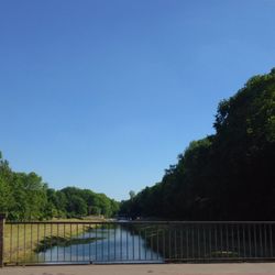 View of trees against blue sky and clouds