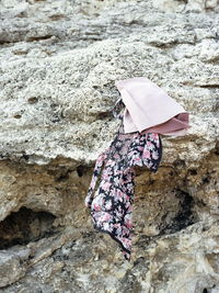 Rear view of woman standing on rock