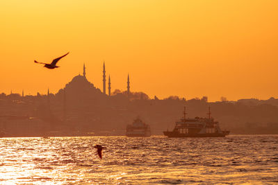 Silhouette birds flying over sea against orange sky