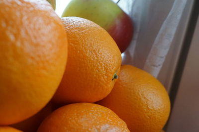 Close-up of orange