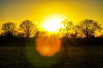 Silhouette trees on field against sky during sunset