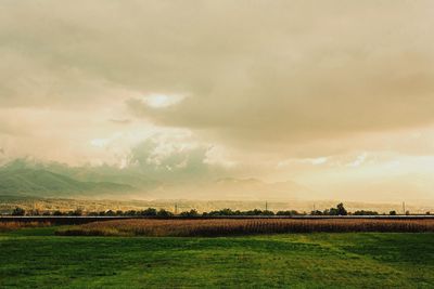 Scenic view of field against sky