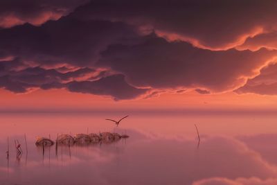 Scenic view of sea against orange sky