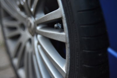 Close up of plant against blurred background