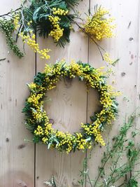 Close-up of flower pot