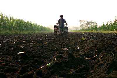 Man standing in field against clear sky