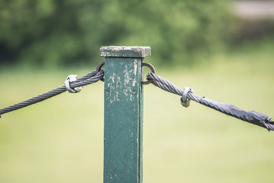 Close-up of wooden pole with metal wire