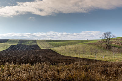 Scenic view of field against sky