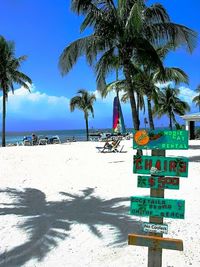 Palm trees on beach