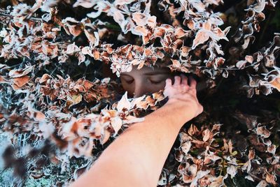 Low section of person legs on dry leaves during autumn