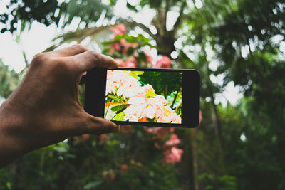 Midsection of man photographing flowers with smart phone