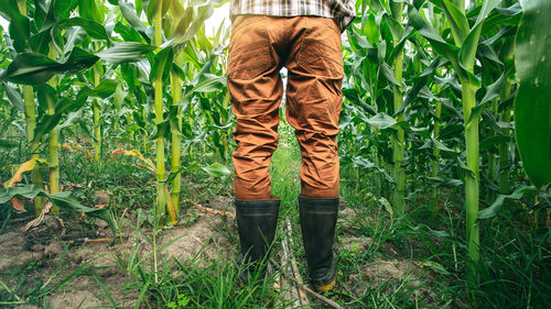 Low section of man standing on field