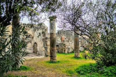 Built structure with trees in background