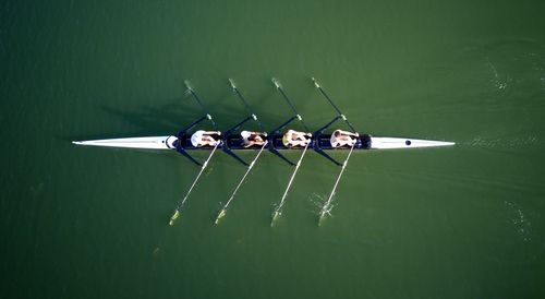 Directly above shot of people rowing boat in lake