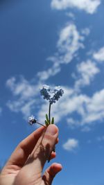 Cropped hand holding flower
