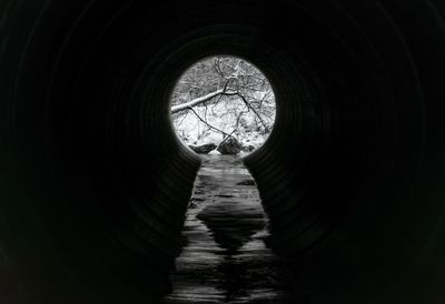 View of tunnel along trees