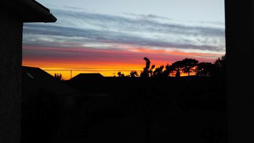 Silhouette of trees at sunset