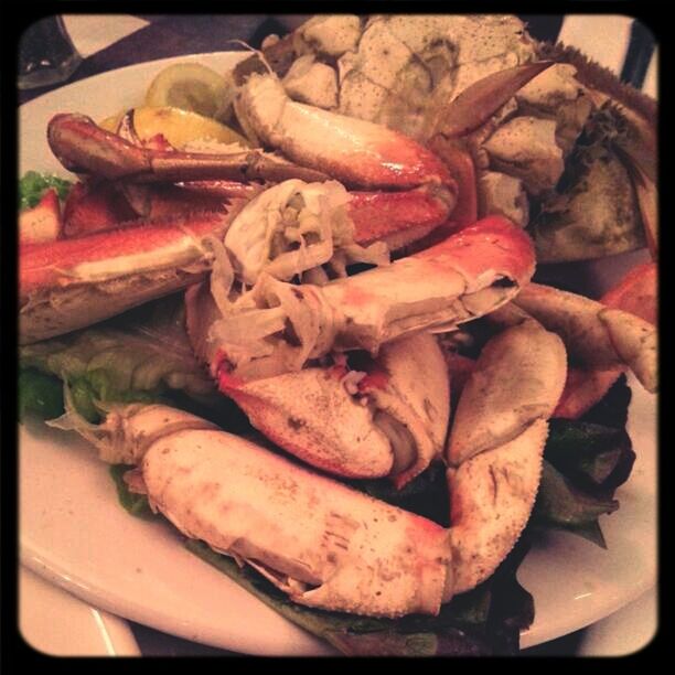 Dungeness crab