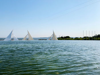 Sailboats sailing on sea against clear blue sky