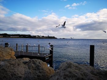 Seagull flying over sea against sky
