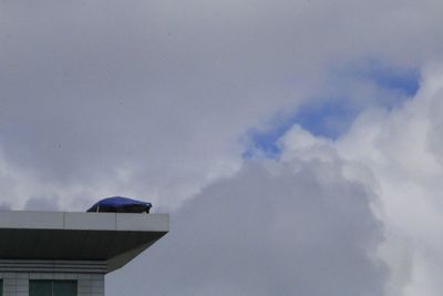 Low angle view of bird against sky