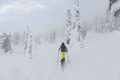 Woman skinning her way up in backcountry red heather, squamish