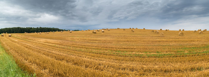 Hay bales on field against sky