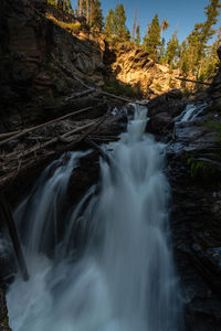 Scenic view of waterfall in forest