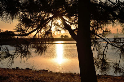 Silhouette trees by lake against sky during sunset
