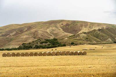 Hay bales on field against sky