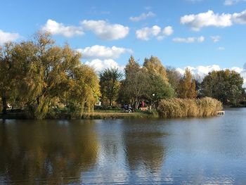 Trees by lake against sky