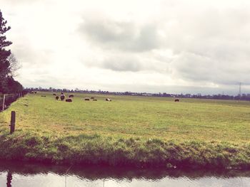 Scenic view of grassy field against cloudy sky