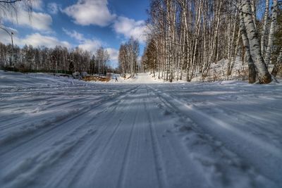 Snow covered road amidst trees against sky