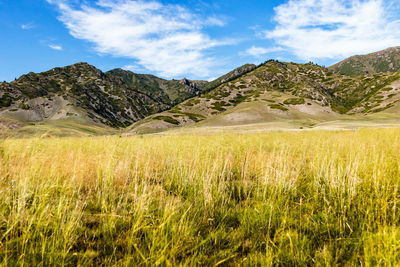 Scenic view of landscape against cloudy sky